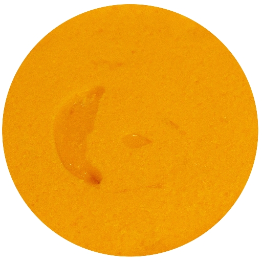 Sorbet mangue de 650 ml